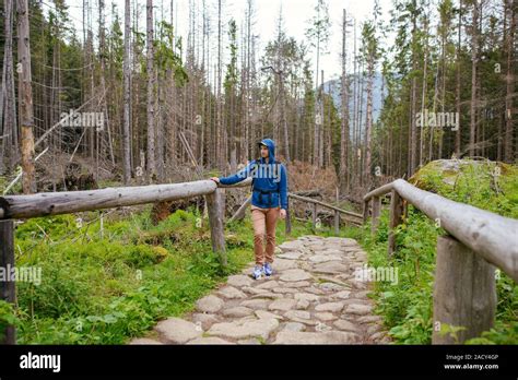Brunette Man Hiker Hiking On Trail In Summer Time Tatra Mountain In