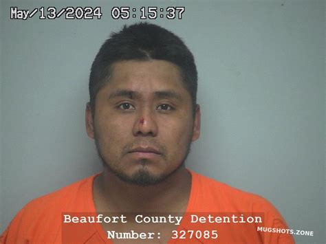 GREGORIO HERNANDEZ CASTILLO 05 13 2024 Beaufort County Mugshots Zone