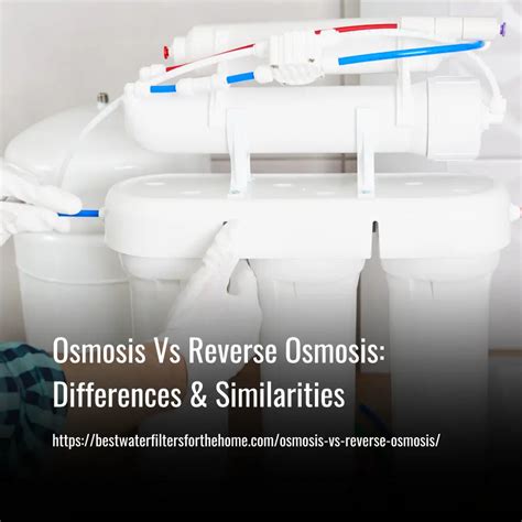 Osmosis Vs Reverse Osmosis Differences Similarities