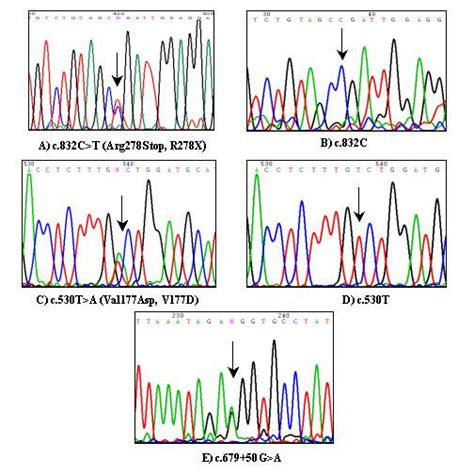 Representative Chromatograms Showing Wt And Mutant Sequences Of Tyr