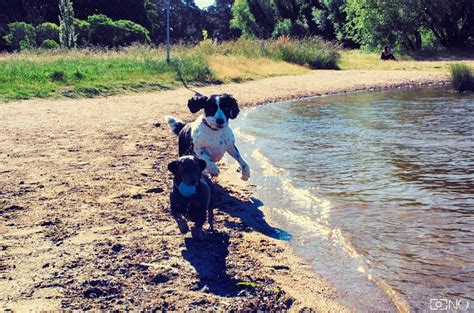 Yarralumla Bay Oval - Yarralumla ACT 2600, Australia