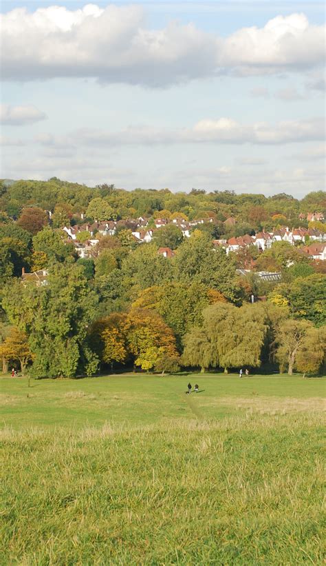 How A Comprehensive Tree Strategy Helps Manage The Impact Of Tree