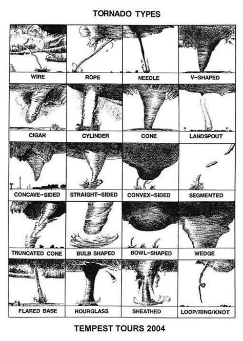 To wedge or not to wedge? Tornado types include many shapes and ... | Weather science, Tornadoes ...