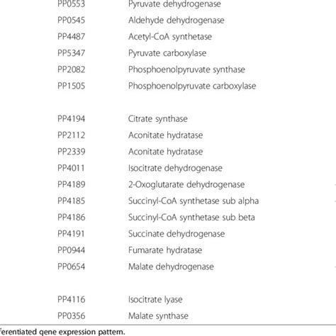 Central Metabolism Of P Putida Kt2440 Enzymes Of Interest Are