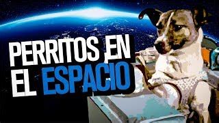 Laika En El Espacio Y Otros Perritos Astronautas Doovi