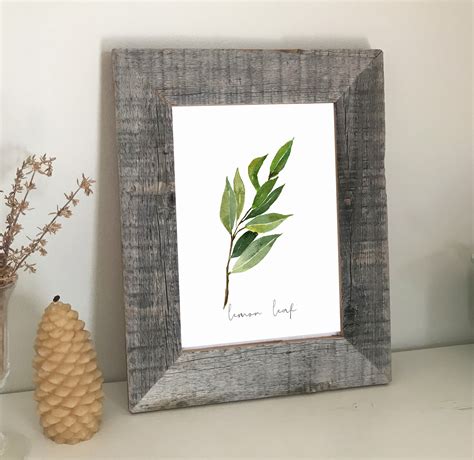 Botanical Framed Prints Set Of 1 To 6 Watercolor Prints Etsy