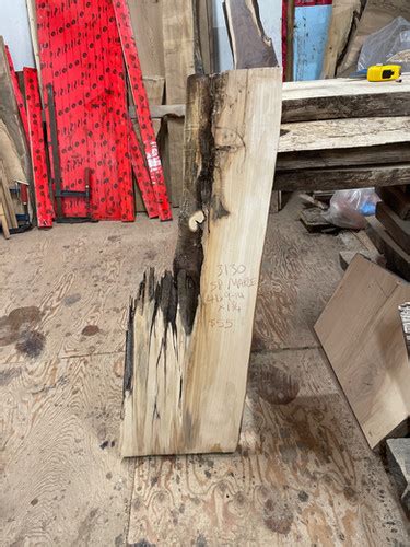 Premium Spalted Maple Slab Big Ass Slabs Online Store