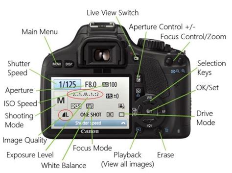 Cara Seting Kamera Canon Indoor Yang Perlu Anda Ketahui Infongapak