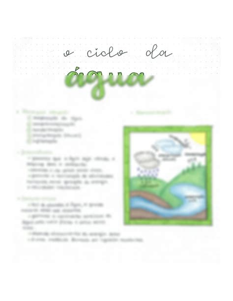 SOLUTION Ciclo Da Agua Studypool