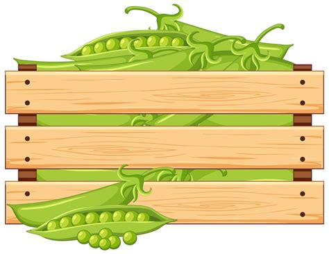 Premium Vector Isolated Wooden Crate Full Of Fresh Snap Peas