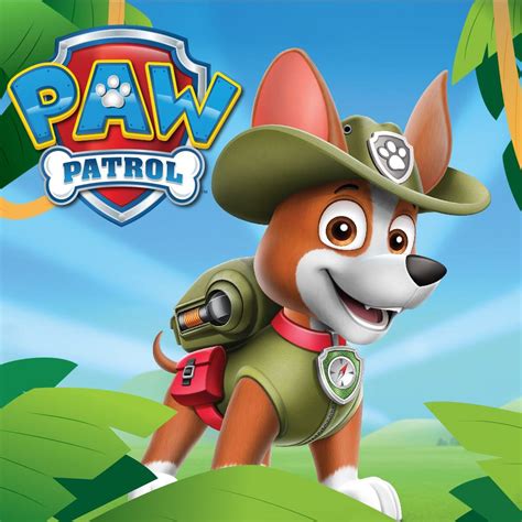 Nickalive Meet Tracker The Latest Paw Patrol Recruit