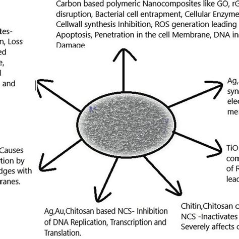 Various Modes Of Antibacterial And Antifungal Activities Of Different