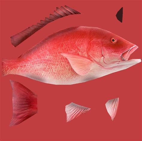 Red Snapper 3d Model Turbosquid 1416077