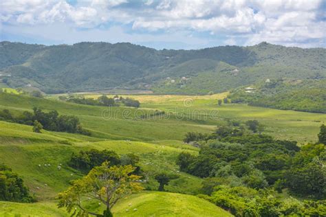 Paisaje Pintoresco Sobre Verdes Praderas Y Campos De Martinique Foto De