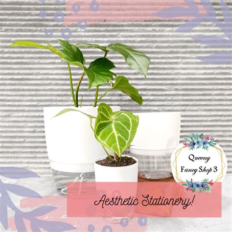 Jual Pot Tanaman Hias Indoor Plant V2 Self Watering Pot Cup Pot Tumbuhan Minimalis