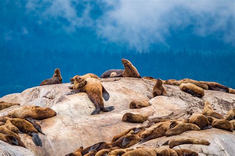 4 Ways Onto The Water In Glacier Bay National Park | HuffPost Life