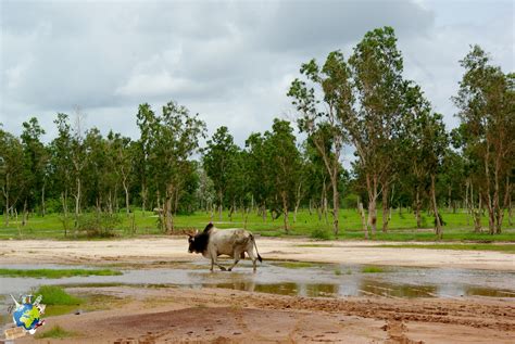 La Casamance au Sénégal plus belle région d Afrique de l Ouest