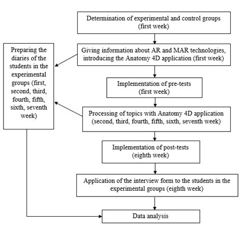 Flow chart regarding the steps followed during the research | Download ...