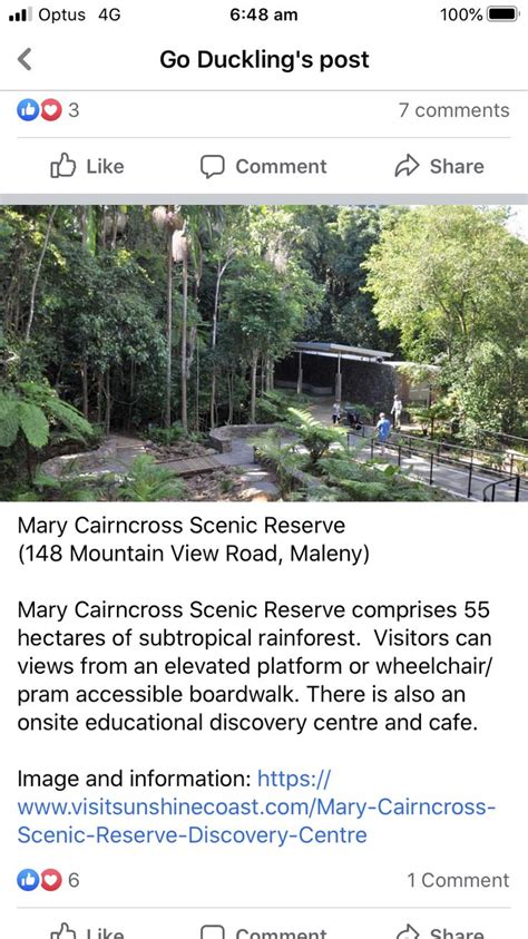 Mary Cairncross Scenic Reserve Maleny Scenic Subtropical Rainforest