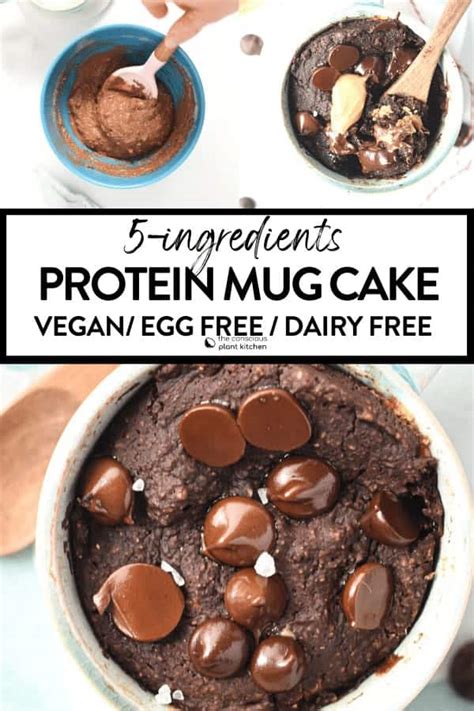 Protein Powder Mug Cake 16g Protein No Sugar No Eggs The