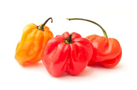 benefits  eating scotch bonnet pepper