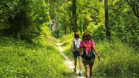 Gu A Para Planificar Tu Ruta En El Camino De Santiago