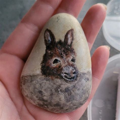 Donkey Rockpainting With Waterpaint By Slyviarts Instagram