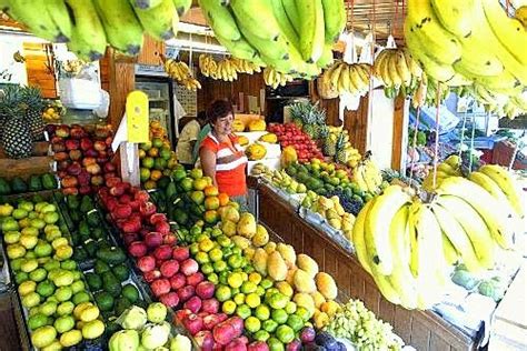 Gastronomia Peruana Frutos De La Selva