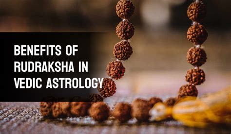 Benefits Of Rudraksha In Vedic Astrology Namoastro