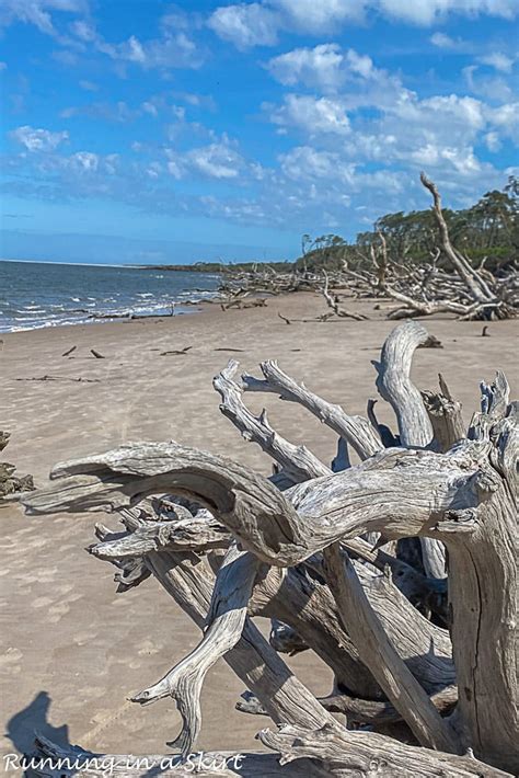 Boneyard Beach Florida Big Talbot Island State Park Running In A Skirt