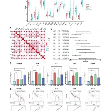 Expression Of Crgs In Different Immune Cell Types In Hcc A Cluster