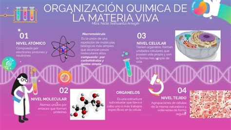 Organización Química De La Materia Viva