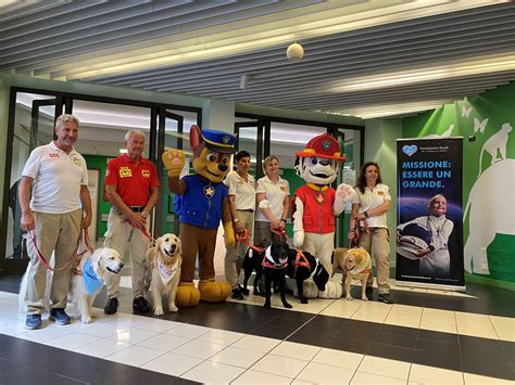 I Paw Patrol Hanno Festeggiato Il Loro Decimo Compleanno Con I Piccoli