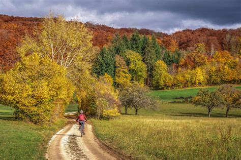 Schw Bischer Wald Ausflugsziele Wandern Und Tipps