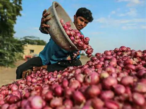 पाकिस्‍तान में 500 रुपये किलो टमाटर और 400 रुपये में प्‍याज अब महंगाई