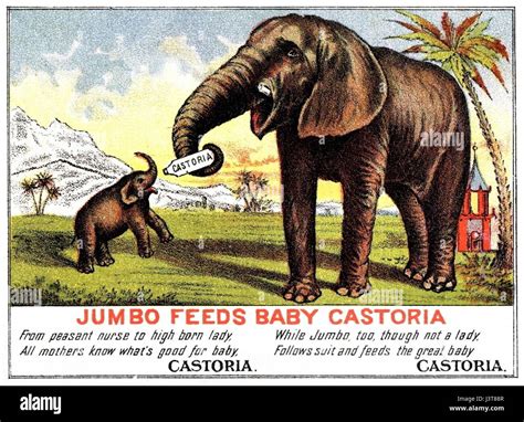 Jumbo Feeds Baby Castoria Stock Photo Alamy