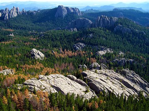 Best Hikes in Black Hills National Forest (SD) - Trailhead Traveler