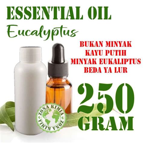 Jual Eucalyptus Essential Oils Pure Minyak Atsiri Eucalyptus Murni