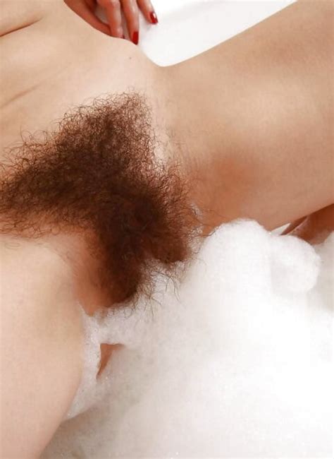 Behaarte Muschis Hairy Pussy Hairy Porno Photo