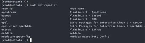 How To Install Netdata Monitoring Software On AlmaLinux 9