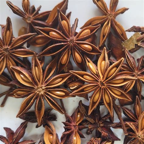 Star Anise What To Cook With Aniseed Tien Thanh Agri Pro Coltd