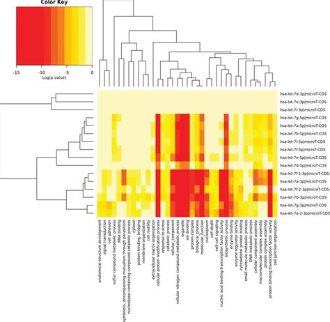 A Mirna Versus Goslim Categories Heatmap Created Directly From The