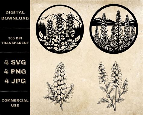 Lupine Svg Bundle Png Lupine Clipart Hand Drawn Lupine Etsy