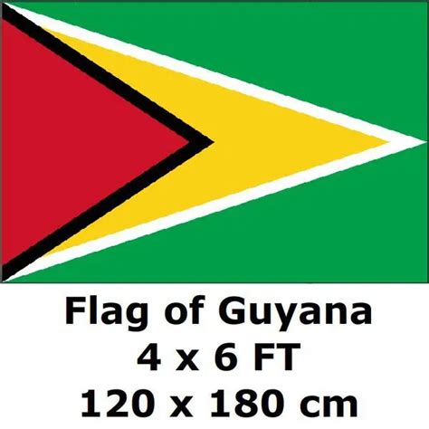 Flag Of Guyana 120 X 180 Cm Guyanese Flags And Banners National Flag Country Banner