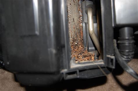 Interesting Cabin Air Filter Change Subaru Outback Forums