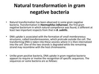 shreya transformation  pptx