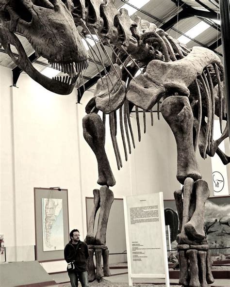 This skeleton of Argentinosaurus reminds me, we are just tiny, imagine ...