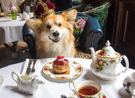 The Quintessential Guide To Afternoon Tea Etiquette Lifestyle Asia