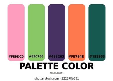 Collection Accurately Color Palettes Codes Perfect Stock Vector