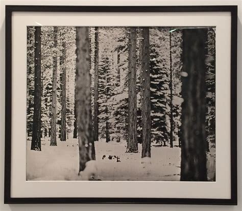 Ian Ruhter At Danziger Gallery New York Art Tours